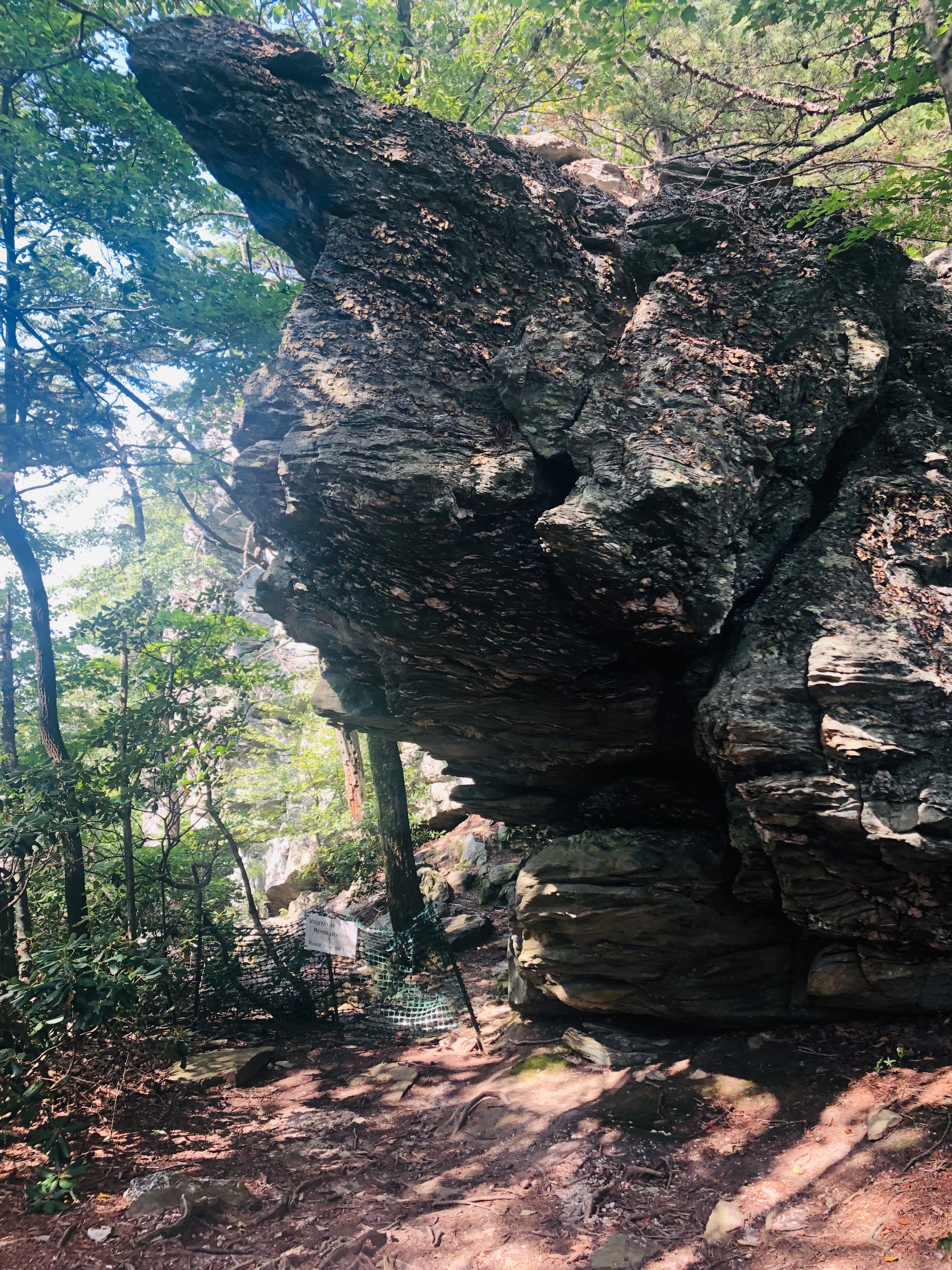 Moore's Knob Rocks on the Trail