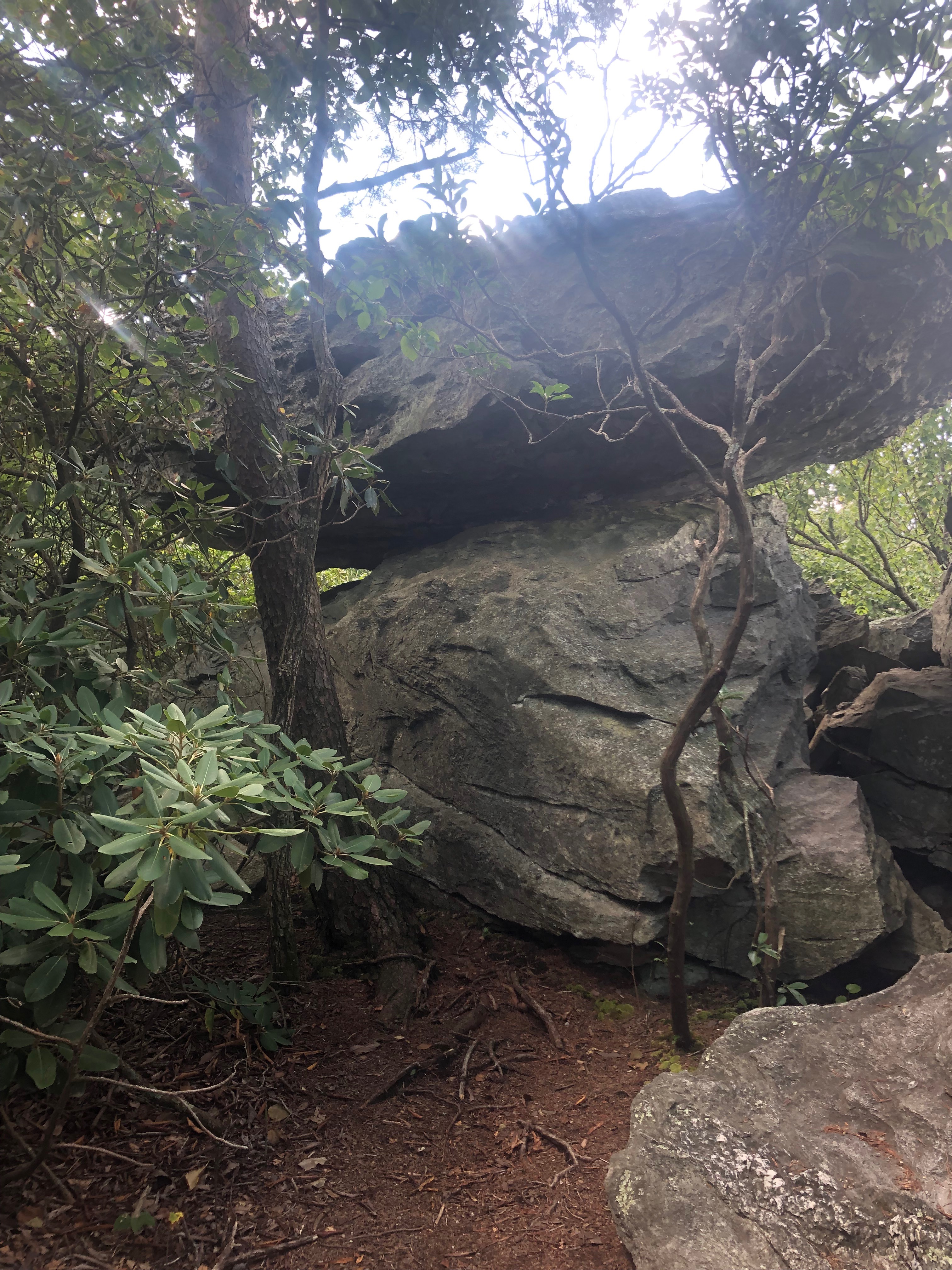 Moore's Knob Rocks on the Trail