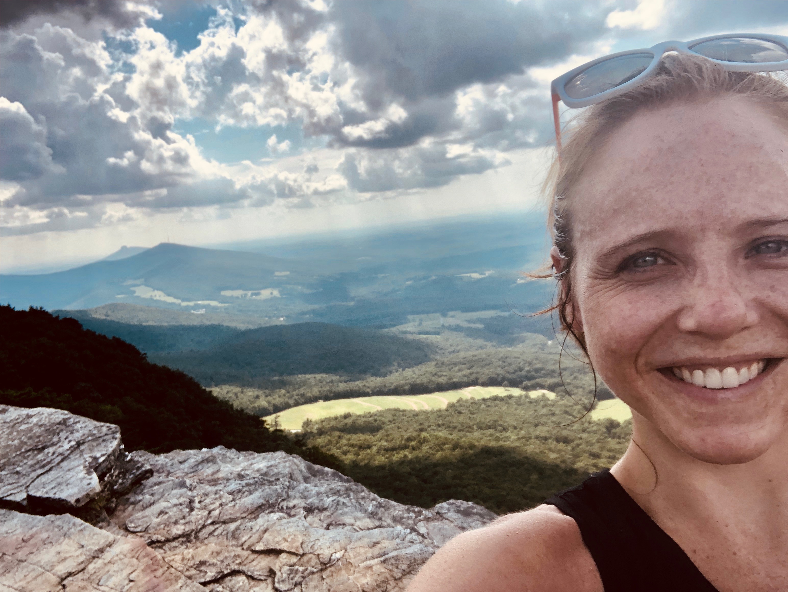 Moore's Knob Summit