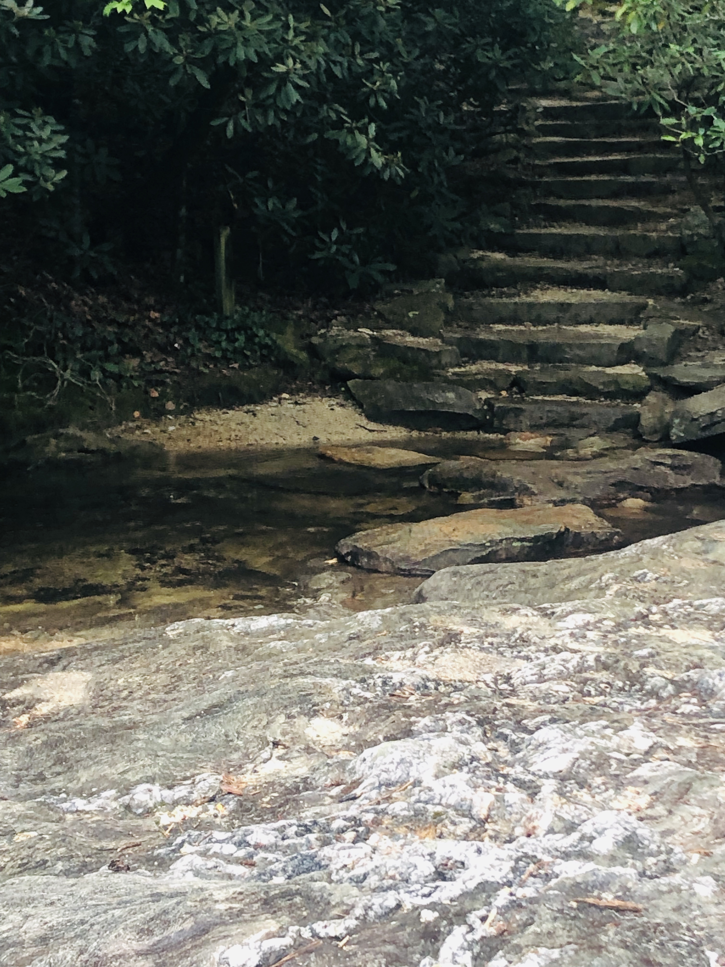 Moore's Knob Trail